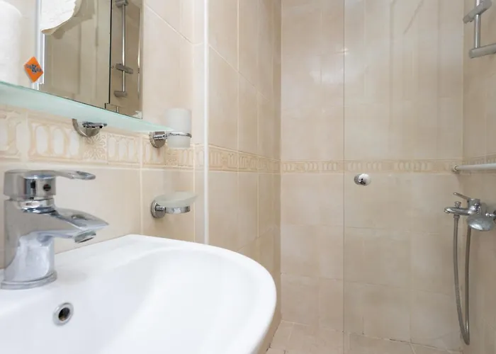 Oliv 올루데니스