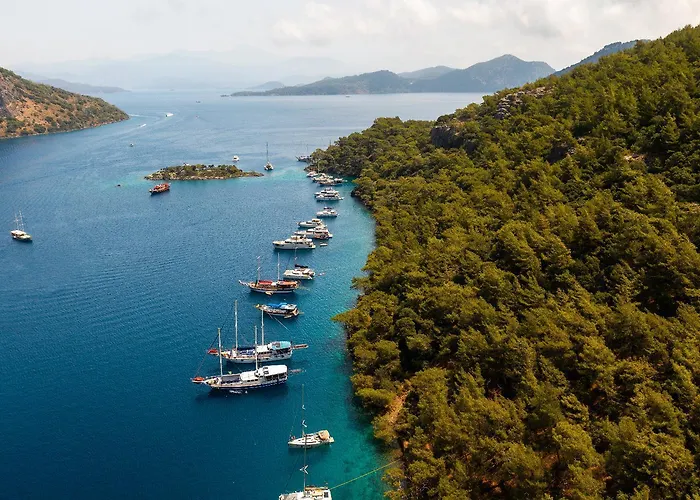 Oliv * Ölüdeniz